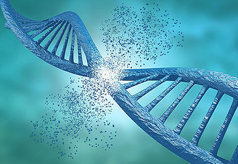 Gene Mutation Linked to Age Related Macular Degeneration