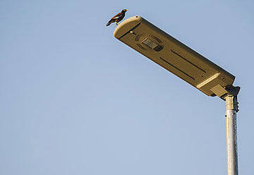 Street lighting LED rollout in Bucks