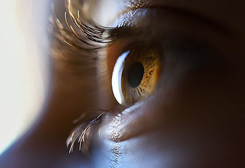 Slowing the progression of macular degeneration