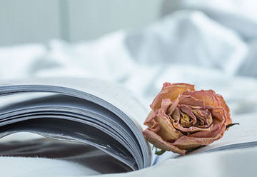 100 Books Everyone Should Read Before They Die