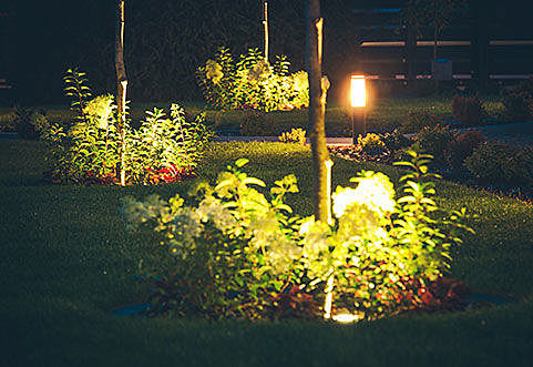 Plant Powered Lamps bring Light to Darkest Peru