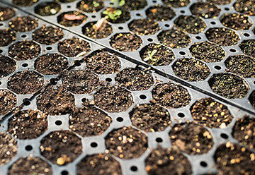 Making light work of growing food