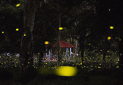Artificial light