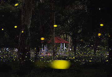 Artificial light