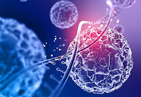 Scientists use virus to halt the progress of Macular Degeneration