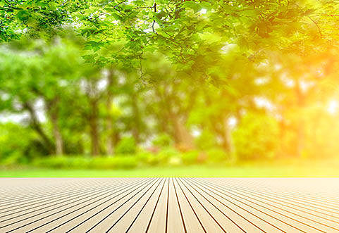 Trees to light the pavements