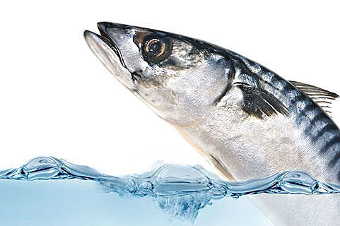 Omega 3 to cure dry eye. Scientists say not necessarily.