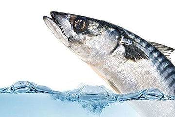 Omega 3 to cure dry eye. Scientists say not necessarily.