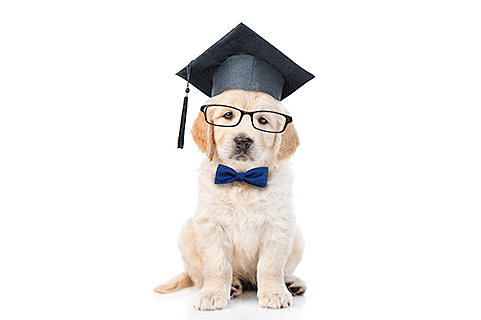 Scientists says a longer education is bad for your eyesight