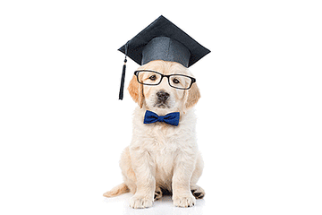 Scientists says a longer education is bad for your eyesight