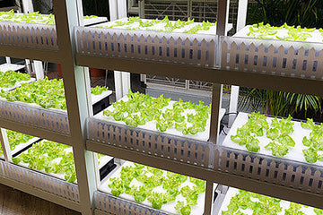 Researchers claim LED is about so much more than lighting