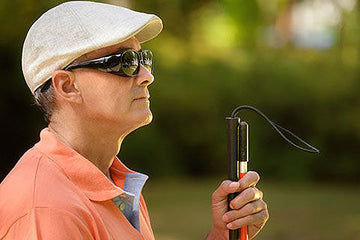 New sight-giving microchip