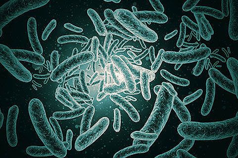 Shining blue light on superbugs