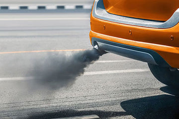 Air pollution linked to heightened risk of AMD