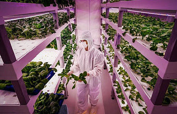 ow do lights make Vertical-Indoor Farms possible