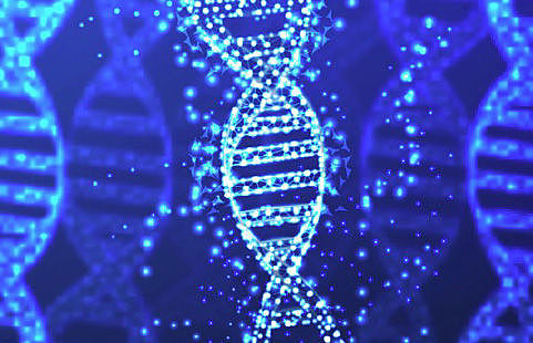 DNA breakthrough