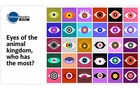Eyes of the Animal Kingdom