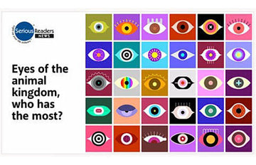 Eyes of the Animal Kingdom