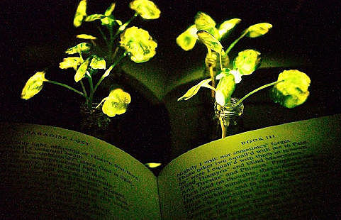 The greenest path to sustainable lighting
