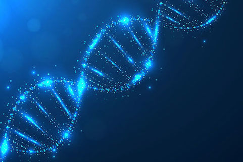 Scientists switch DNA on and off using light