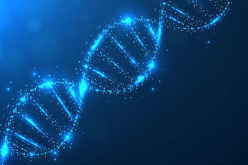 Scientists switch DNA on and off using light