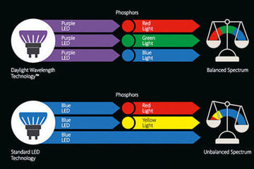 purple_led_technology