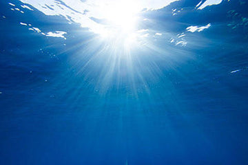 How the Sea could hold the key to cheaper solar power
