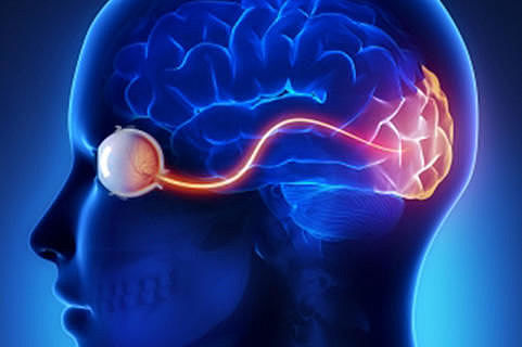 Bionic eye brain implants to be trialled in US