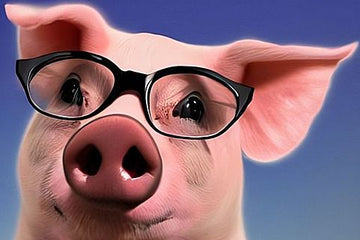 The future of corneal treatment is here and it’s made of pig skin