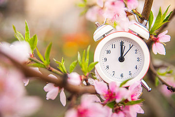 Spring forward: Your guide to the 2024 British Summer Time shift