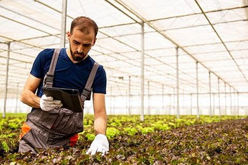 Could light be the solution to the world food crisis