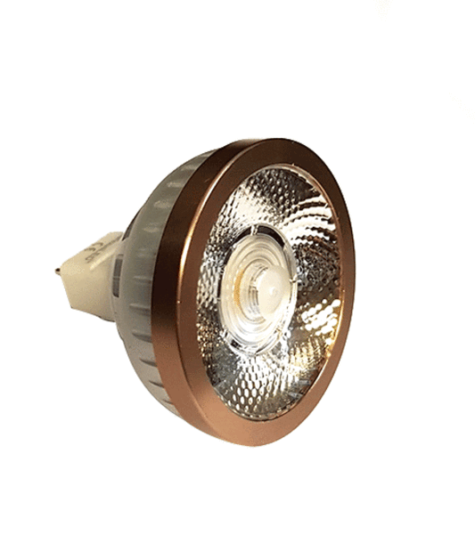 Spare Bulb