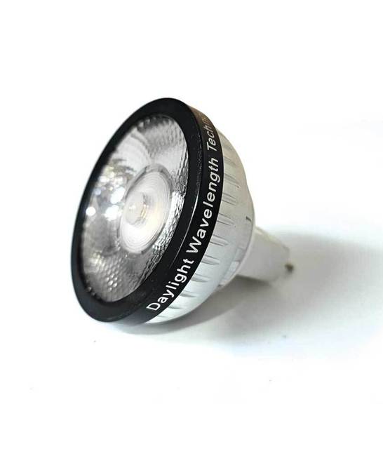 Spare Bulb