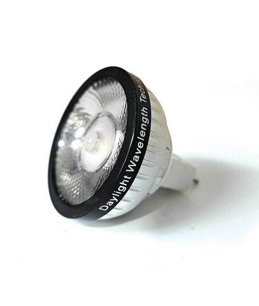Spare Bulb