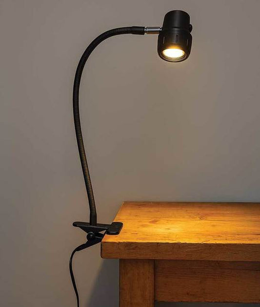 The Gary Light